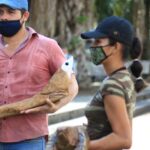 Vladimir Putin acepta ponerse la vacuna Sputnik V contra covid