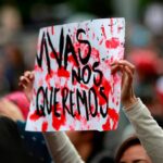 Cayeron 33% los ingresos para la CNH en este 2020