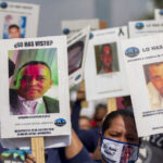 Registran 44 especies de mamíferos marinos que habitan en las aguas de México