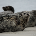 CONTINUARÁN LLUVIAS MUY FUERTES EN TABASCO