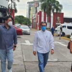 Razones por las que los gatos son las mejores mascotas; querrás tener uno