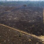 Mitos sobre suplementos alimenticios; ¿Son buenos para hacer ejercicio?