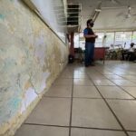 Detectan mercurio en plumas de pingüinos