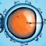 Detectan mercurio en plumas de pingüinos