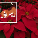 Pemex alista inversiones para reducir impacto ambiental