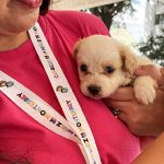 México está ante su peor crisis educativa, alertan