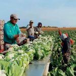 Festival del Queso 2023 ya tiene fecha: todo lo que necesitas saber