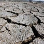 El senador John Kennedy es profundamente ignorante y miente, reitera Ebrard