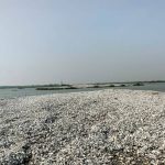 Exige PRI que INAI funcione