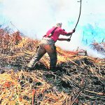 Halle Bailey toma las críticas con buen humor