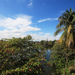 Con un salario, más personal educativo; en 2018 eran 63 mil y en 2022 sumaron 170 mil