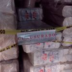 Anuncia Cecufid sus cursos de verano y natación 2023