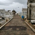 Duelo épico de sabores: butifarra colombiana vs. tabasqueña en el octavo festival