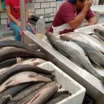 Río Carrizal es un espejo de extrema pobreza