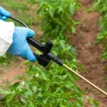 Detienen en Tacotalpa a presunto encubridor de un homicidio