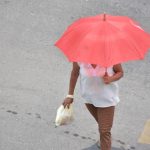 Arruinó Sedatu a comercios del malecón del Centro