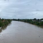 Presidente argelino Abdelmadjid Tebboune es reelegido por abrumadora mayoría