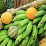 Pide el Papa Francisco alto al fuego en oración