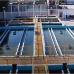 Sheinbaum, en desacuerdo con las redadas en EU