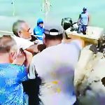 “Flow” será proyectada gratis en el Zócalo capitalino