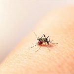 Sheinbaum pide disculpas a Guatemala por incursión de policías a su territorio