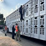 Visa EU: Niños y adultos mayores deberán ir para entrevista al consulado