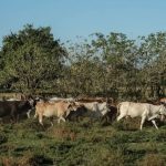 Sentencia por la muerte de 41 niñas de la Casa Hogar Virgen de la Asunción