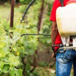 Khloé Kardashian no se reconciliará con Tristan Thompson