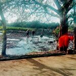 Aliado cercano de María Corina Machado es puesto bajo arresto domiciliario